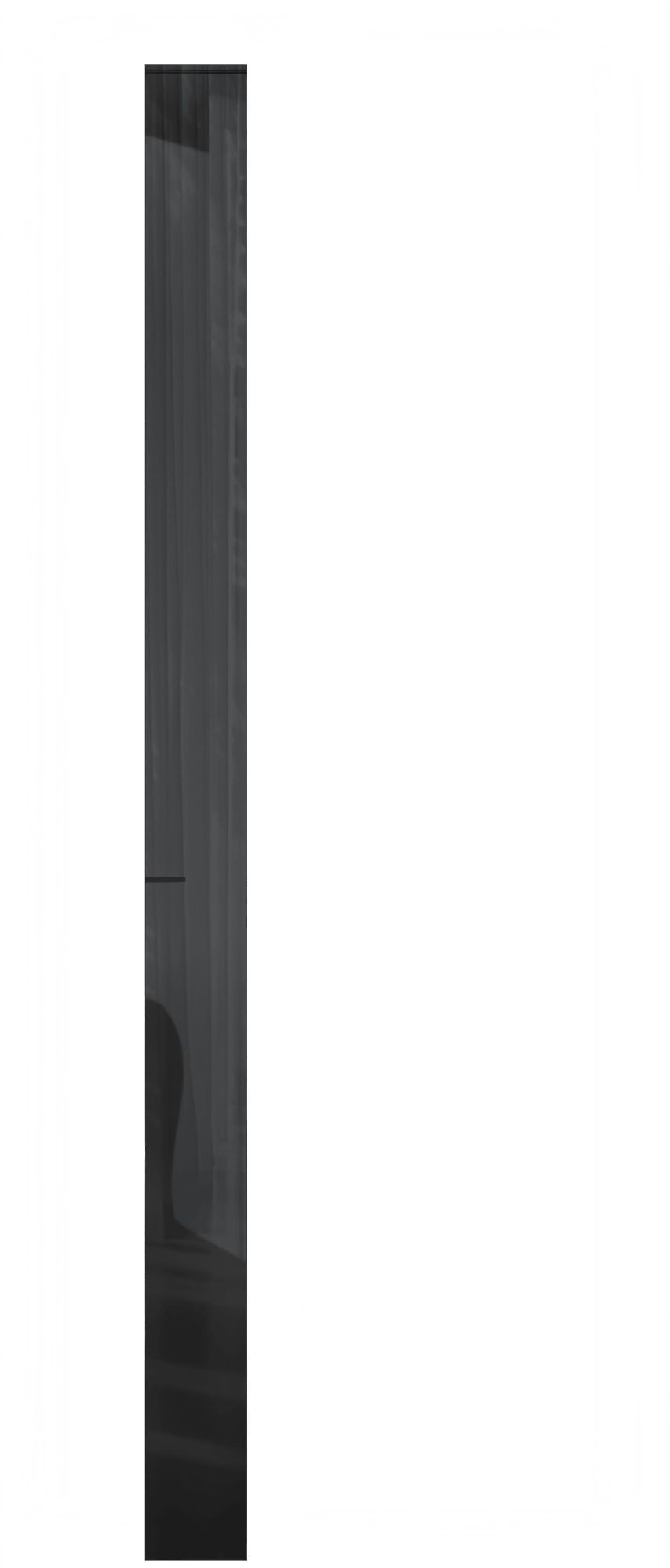 /img/Products_img/Shine/Doors/Glass/SN12 DO.png